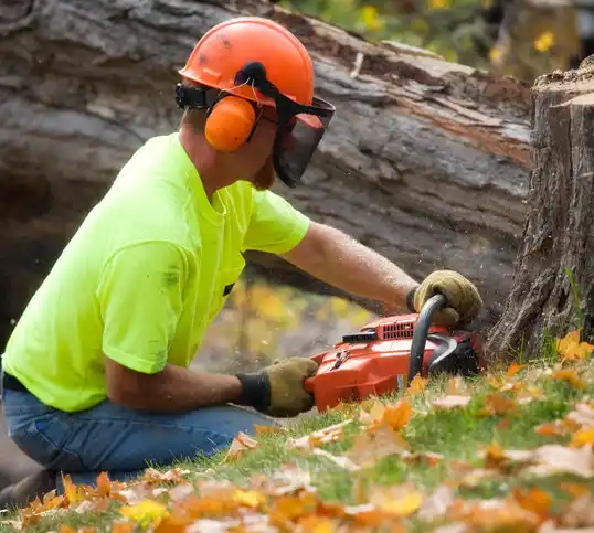 tree services Cheverly